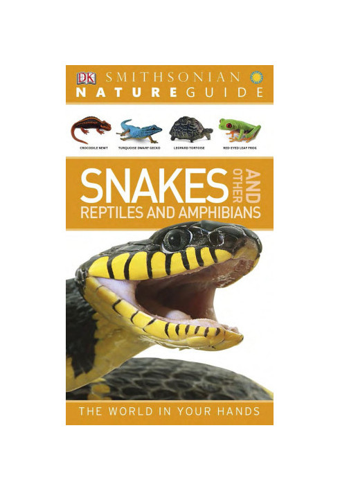 Nature Guide: Snakes and Other Reptiles and Amphibians