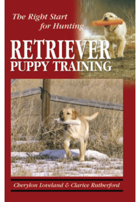 Retriever Puppy Training: The Right Start for Hunting