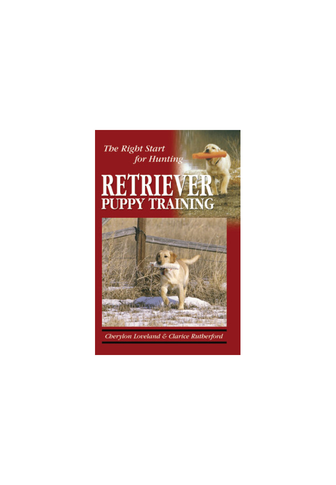 Retriever Puppy Training: The Right Start for Hunting