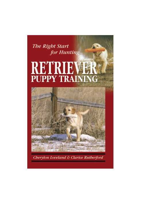 Retriever Puppy Training: The Right Start for Hunting