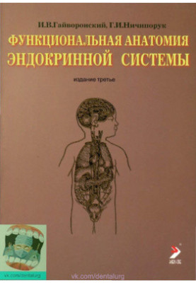 Functional anatomy of the endocrine system