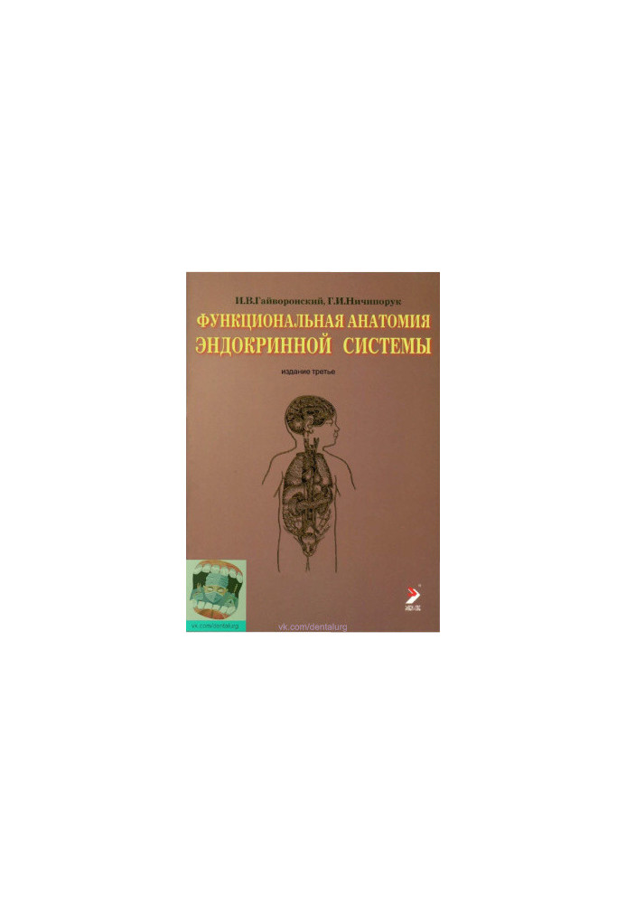 Functional anatomy of the endocrine system