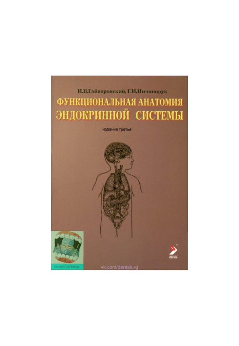 Functional anatomy of the endocrine system