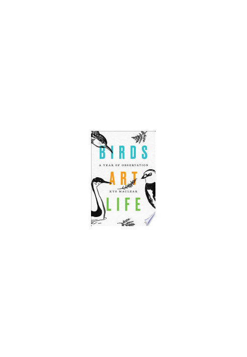 Birds Art Life