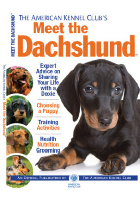 Meet the Dachshund