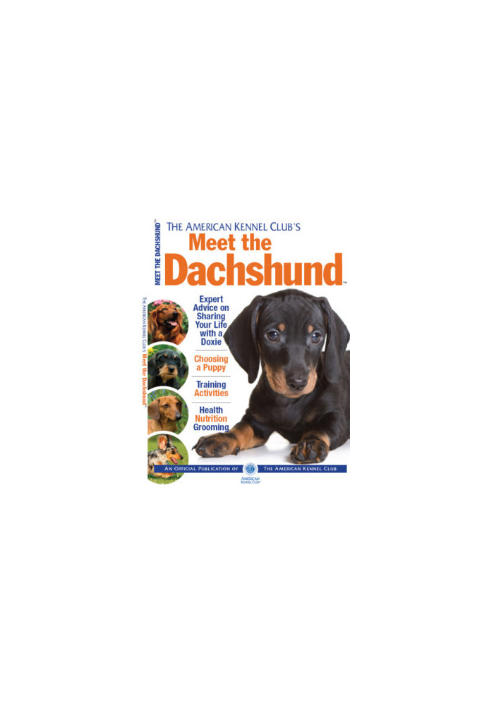 Meet the Dachshund