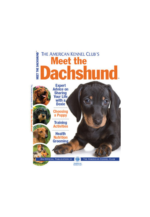 Meet the Dachshund
