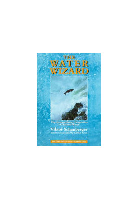 The Water Wizard