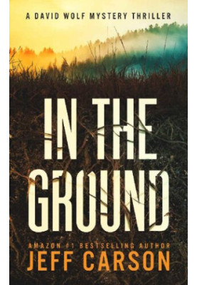 In the Ground (David Wolf Book 14)