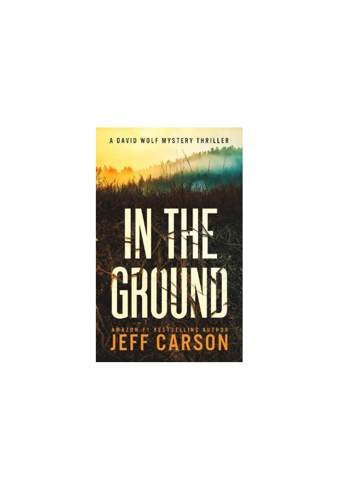 In the Ground (David Wolf Book 14)