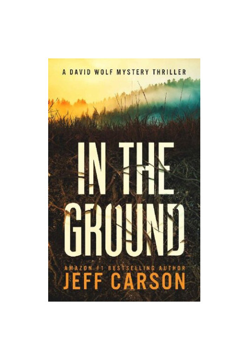 In the Ground (David Wolf Book 14)