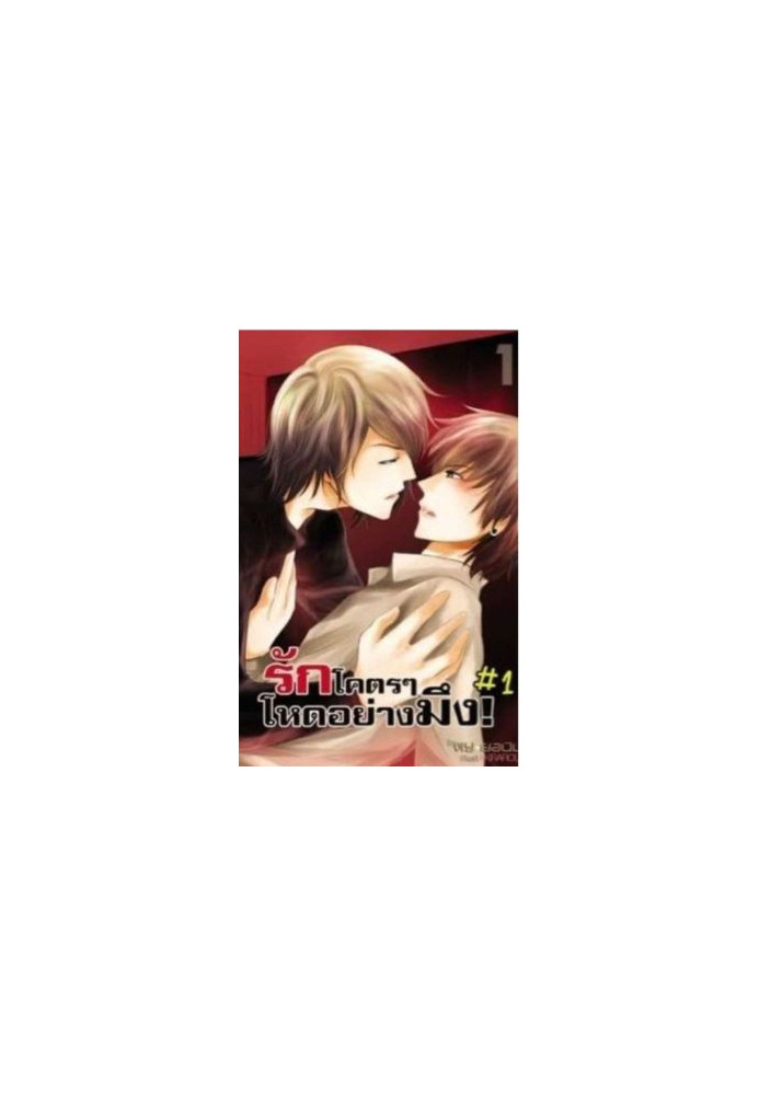 BOOK 1: DAY &BRICK- LOVE SYNDROME