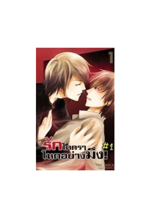 BOOK 1: DAY &BRICK- LOVE SYNDROME