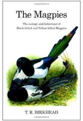 The Magpies: The Ecology and Behaviour of Black-billed and Yellow-billed Magpies