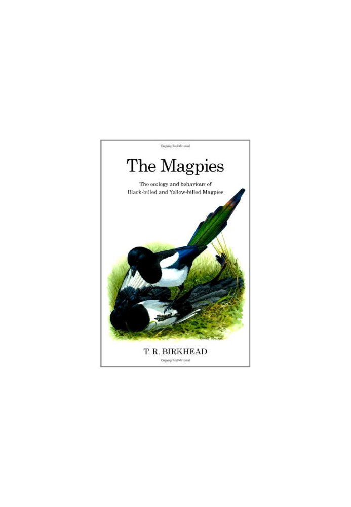The Magpies: The Ecology and Behaviour of Black-billed and Yellow-billed Magpies
