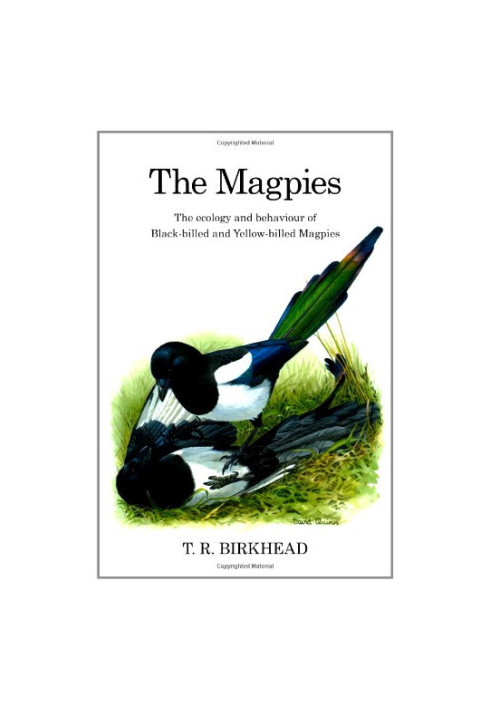 The Magpies: The Ecology and Behaviour of Black-billed and Yellow-billed Magpies