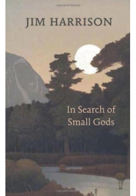 In search of small gods