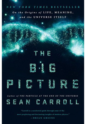 The Big Picture: On the Origins of Life, Meaning, and the Universe Itself