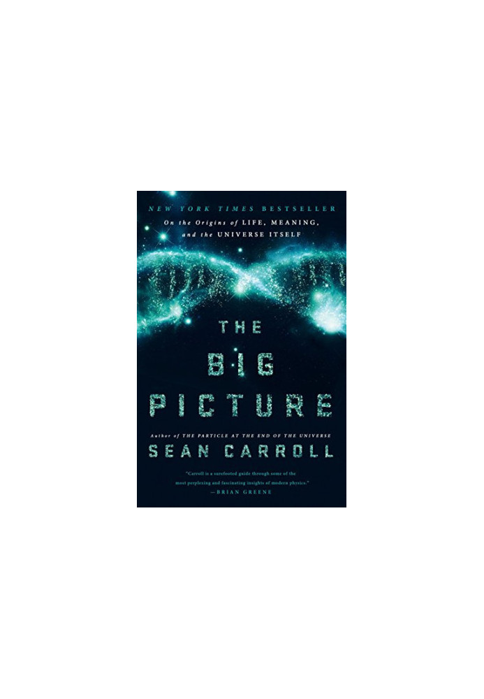 The Big Picture: On the Origins of Life, Meaning, and the Universe Itself