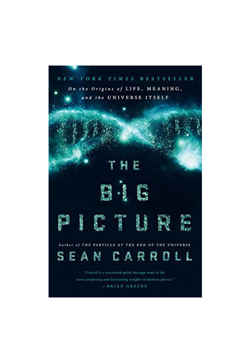 The Big Picture: On the Origins of Life, Meaning, and the Universe Itself