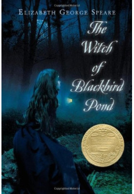 The Witch of Blackbird Pond