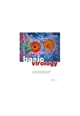 Basic virology