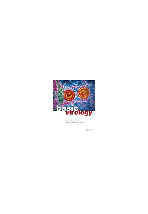 Basic virology