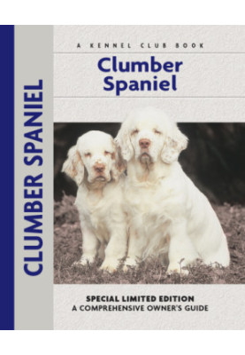 Clumber Spaniel