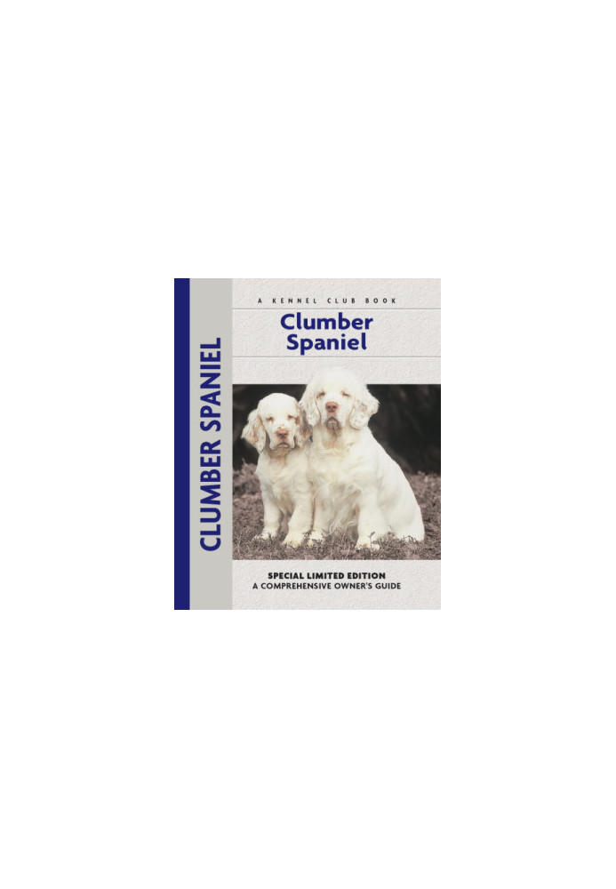 Clumber Spaniel