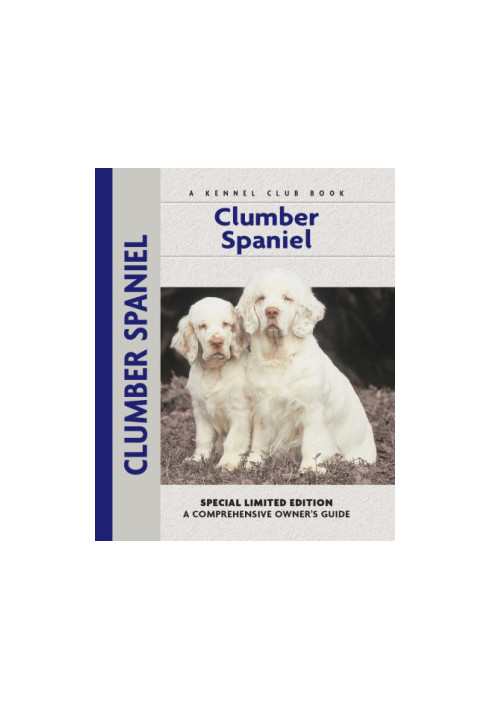 Clumber Spaniel