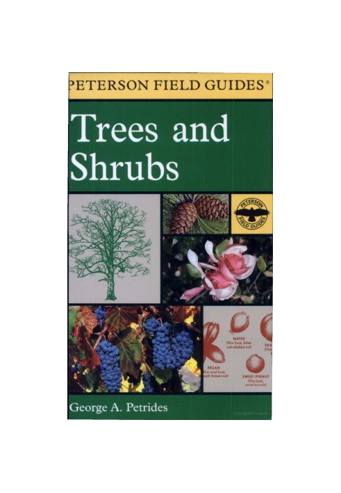 Field Guide to Trees & Shrubs Petrides, George A. Petrides Peterson