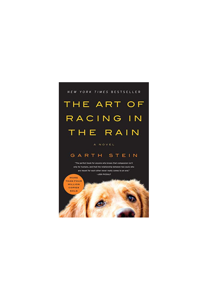 The Art of Racing in the Rain: A Novel