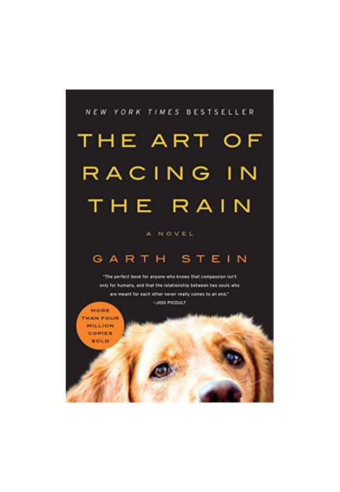 The Art of Racing in the Rain: A Novel