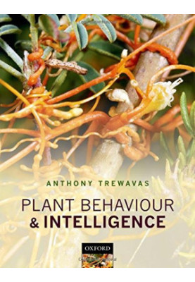 Plant behaviour and intelligence