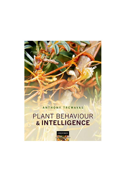 Plant behaviour and intelligence