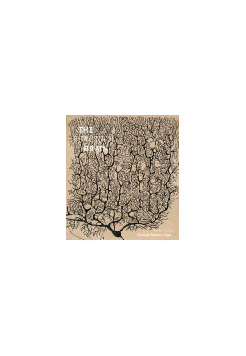 Beautiful Brain: The Drawings of Santiago Ramon y Cajal
