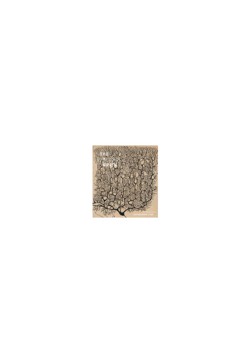 Beautiful Brain: The Drawings of Santiago Ramon y Cajal
