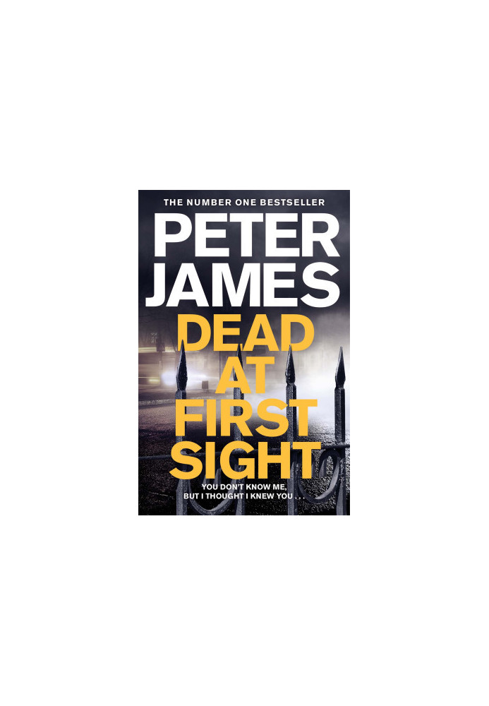 Dead at First Sight ( Roy Grace 15 )