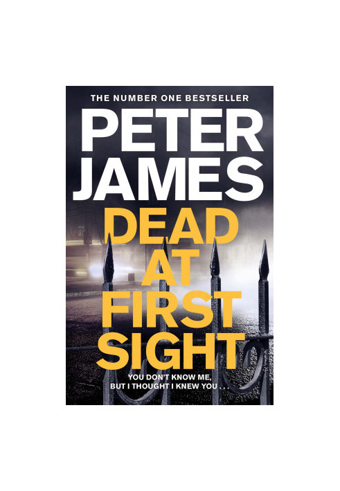 Dead at First Sight ( Roy Grace 15 )