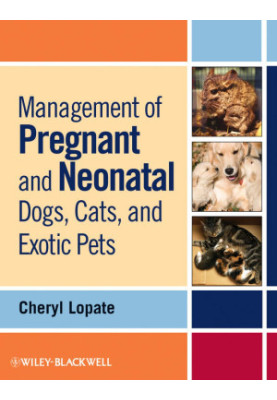 Management of Pregnant and Neonatal Dogs, Cats, and Exotic Pets