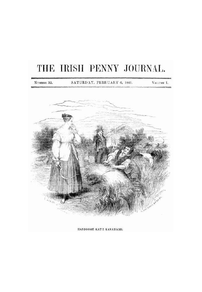 The Irish Penny Journal, Vol. 1 № 32, 6 лютого 1841 р