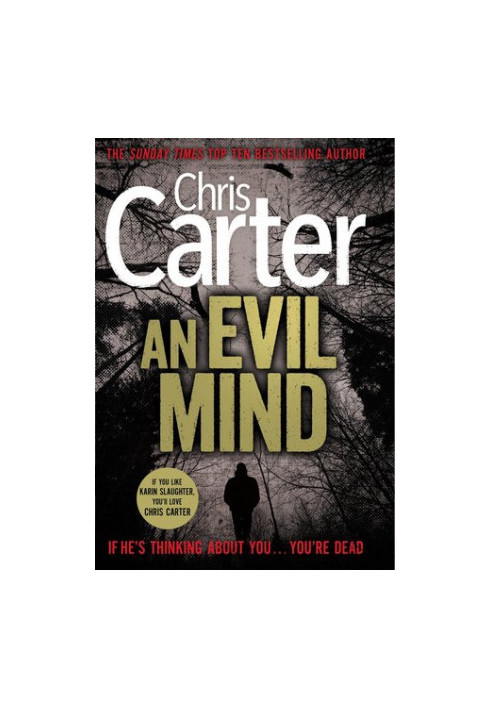 [Robert Hunter 06] • An Evil Mind
