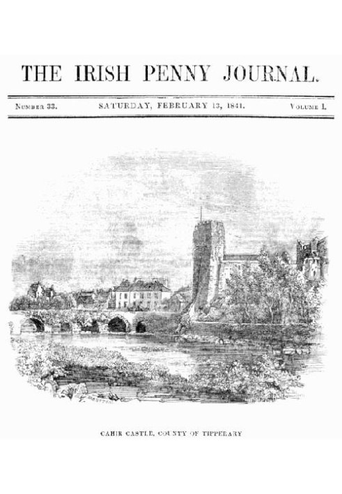 The Irish Penny Journal, Vol. 1 № 33, 13 лютого 1841 р