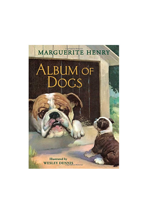 Wagging tails an album of dogs