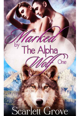 Marked by the Alpha Wolf, Part 1 (Braving Darkness 0.1)