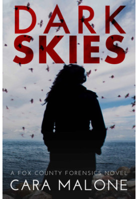 Dark Skies: A Fox County Forensics Lesbian Romantic Suspense