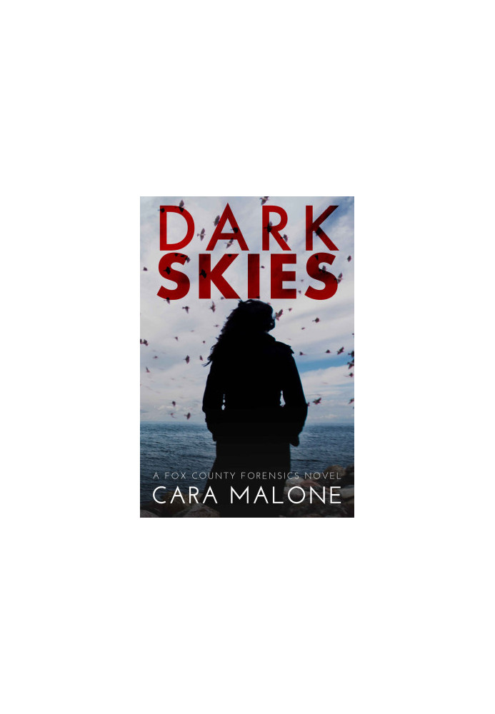 Dark Skies: A Fox County Forensics Lesbian Romantic Suspense