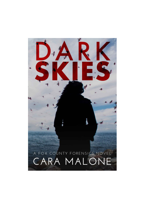 Dark Skies: A Fox County Forensics Lesbian Romantic Suspense