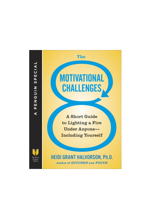 The 8 Motivational Challenges