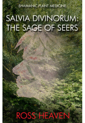 Shamanic Plant Medicine--Salvia Divinorum: The Sage of the Seers